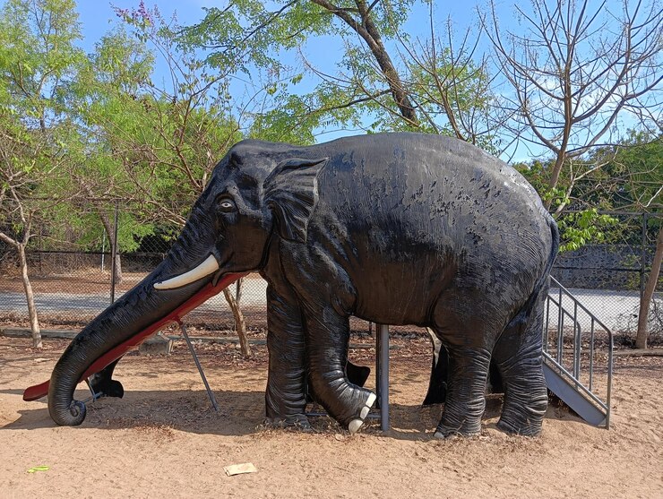 Photo animaux du zoo