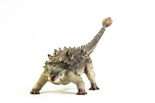 Ankylosaurus, dinosaure