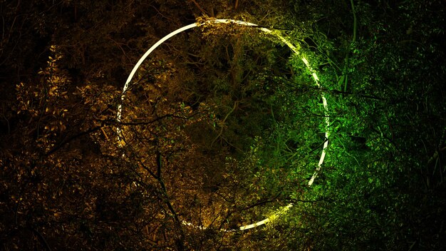 Photo anneau de cercle lumineux dans le feuillage des branches d'arbres sur fond noir illumination au néon pour le texte 3d