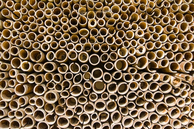 Anneaux de bambou de différents diamètres pour le fond ou la texture