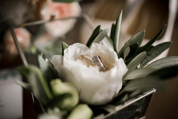 Anneaux de mariage dans une boîte en verre avec une fleur