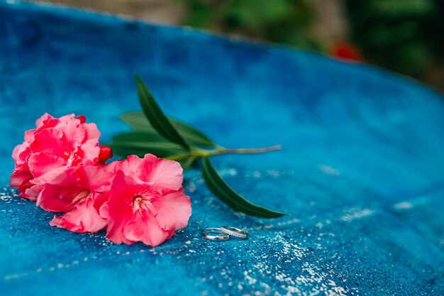 Anneaux de mariage sur fleurs