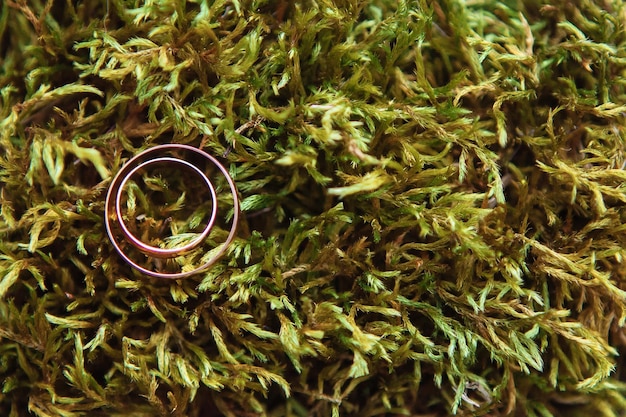 Photo anneaux de mariage sur une mousse verte sur les rochers bijoux de mariage