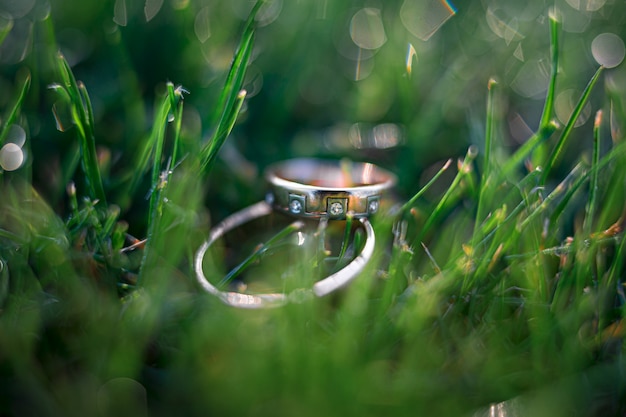 Photo anneaux de mariage en or sur l'herbe