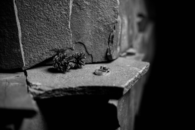 Les anneaux de mariage sur une pierre à côté des anneaux sont des cônes love concept photo noir et blanc