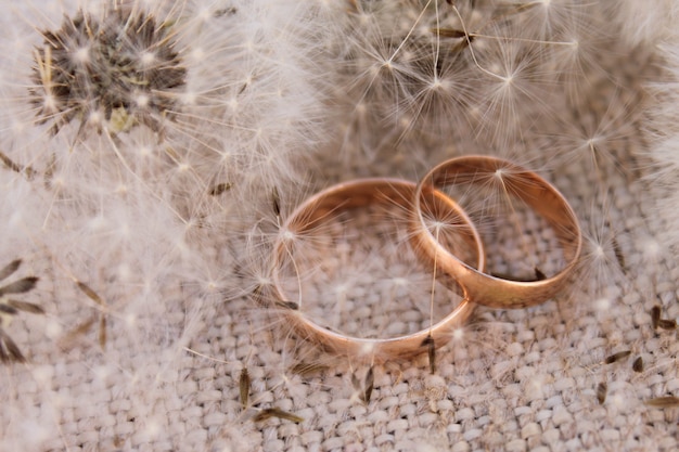 Anneaux de mariage sur les pissenlits de fond