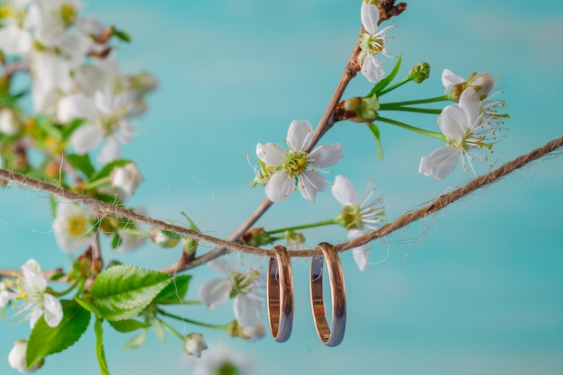 Anneaux de mariage. Printemps. Branche fleurie