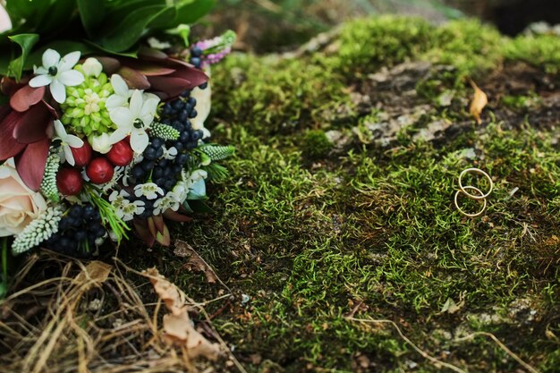 Les anneaux de mariage reposent sur de la mousse verte au pied de l’arbre.