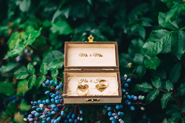 Anneaux d'or de mariage dans une boîte cérémonie de mariage rassemblant les mariés M. et Mme jeune famille bonne journée amour et pour toujours ensemblexA