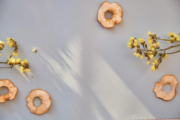 Anneaux de pomme en tranches séchées collations saines à la mode avec espace de copie d'ombres modernes Vue de dessus Décorations de fleurs sèches Photo de haute qualité