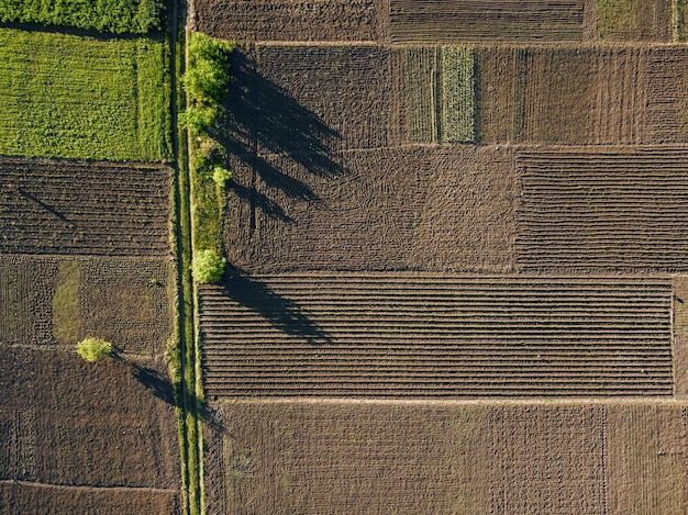 Antenne de formes géométriques abstraites de parcelles agricoles de différentes cultures aux couleurs marron et vert. Photo de drone