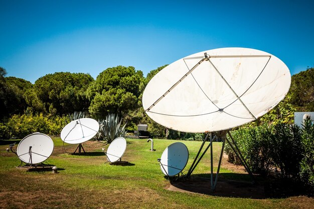 antennes paraboliques sur la nature