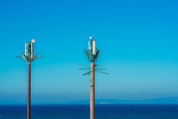 Photo des antennes téléphoniques cachées dans des palmiers