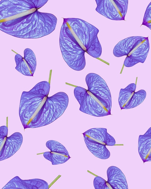 Anthurium lilas sur un modèle sans couture de fond rose, motif sur le tissu. Copiez l'espace.