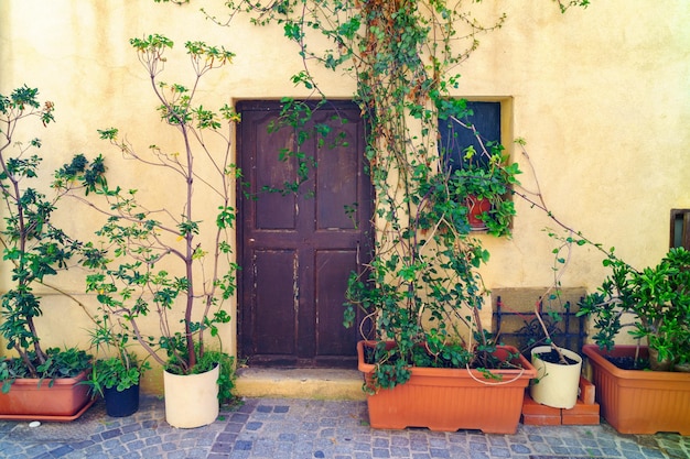 Antibes, France (Côte d'Azur, Côte d'Azur). Façade médiévale de style classique traditionnel avec des portes marron. Plantes vertes en pots près du mur de pierre.