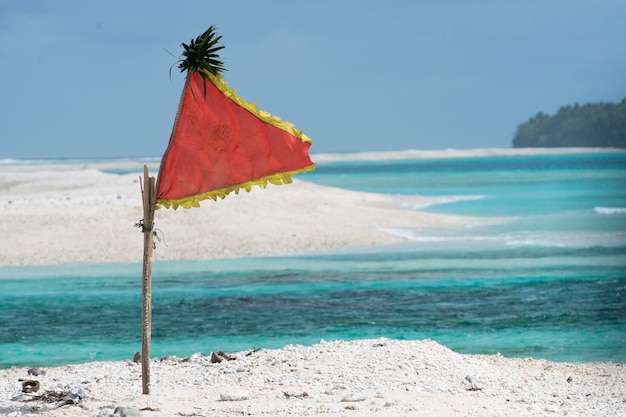 Anticipation de l'île