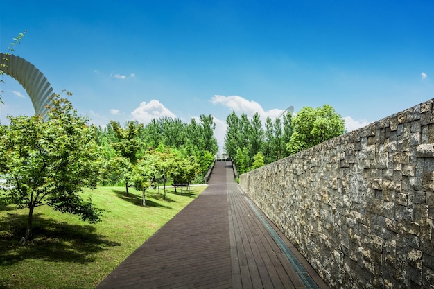 Un aperçu du mur de pierre dans le magnifique parc