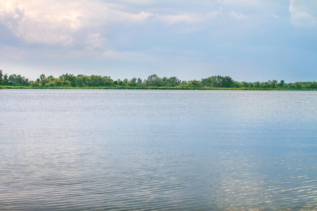 Aperçu paysage rivière roseaux et tiges