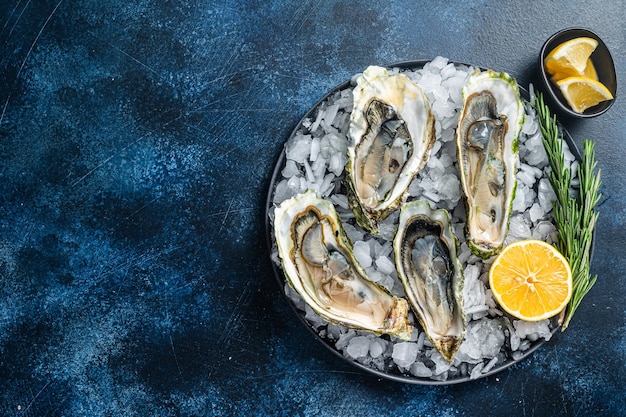 Apéritif de fruits de mer Ouvert Huîtres fraîches au citron et à la glace Fond bleu Vue de dessus Copier l'espace