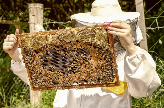 Apiculteur avec des abeilles