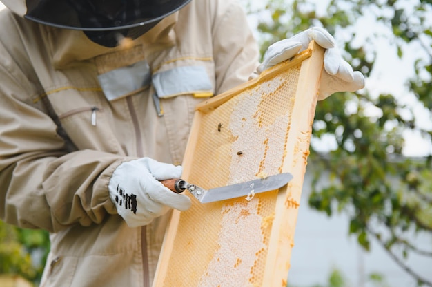 Apiculteur apicole au travail abeilles en vol