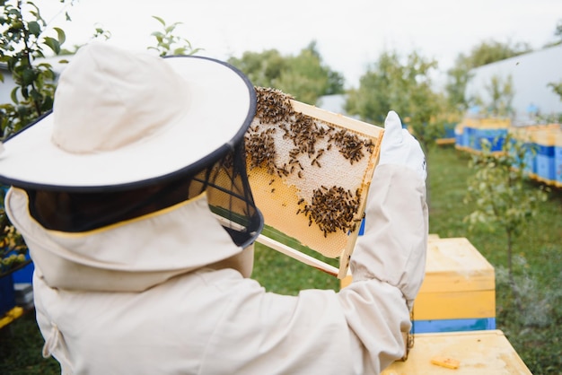 Apiculteur apicole au travail abeilles en vol