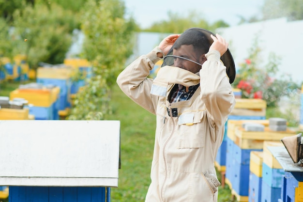 Apiculteur apicole au travail abeilles en vol