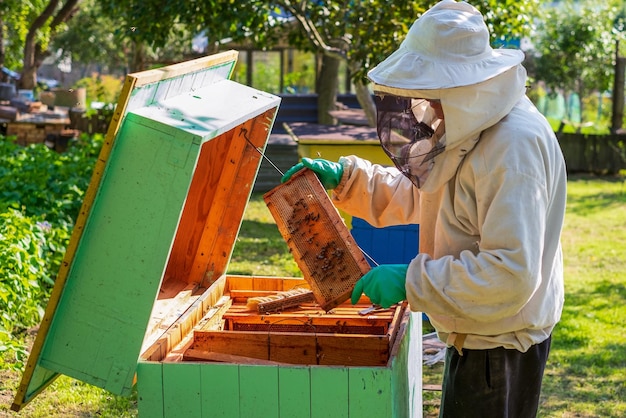 Un apiculteur dans une tenue de protection examinant le nid d'abeilles dans une ruche dans un rucher par une journée ensoleillée