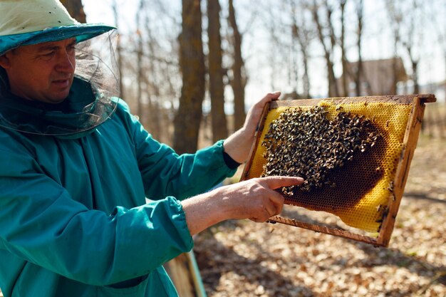 Apiculteur détient cadre avec nid d'abeille hors de la ruche