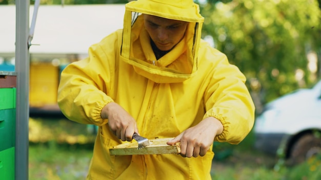 Apiculteur homme propre cadre de miel en bois travaillant dans le rucher le jour d'été