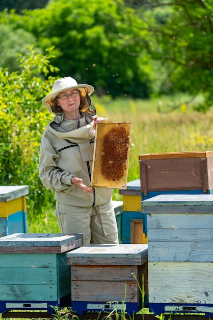 Apiculteur inspectant le cadre en nid d'abeille au rucher le jour d'été Femme travaillant dans le rucher Concept d'apiculture et d'apiculture