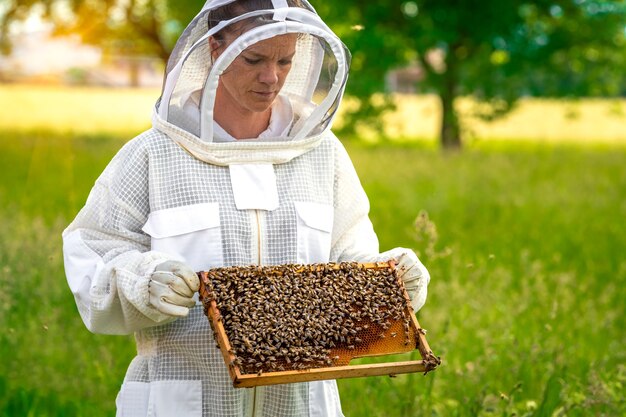L'apiculteur inspecte les abeilles dans une combinaison de protection