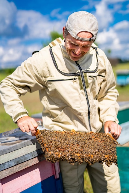 Apiculteur professionnel travaillant avec des cadres en bois Apiculture collecter le concept de miel