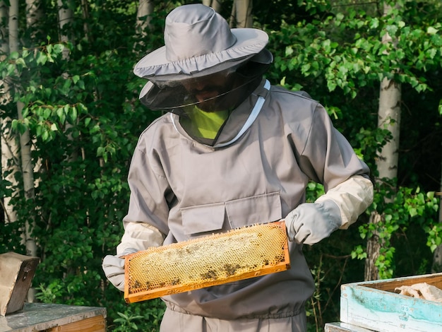 Apiculteur retirant le nid d'abeille de la ruche Personne en costume d'apiculteur prenant le miel de la ruche Agriculteur portant un costume d'abeille travaillant avec le nid d'abeille dans le rucher Apiculture dans l'agriculture biologique de campagne