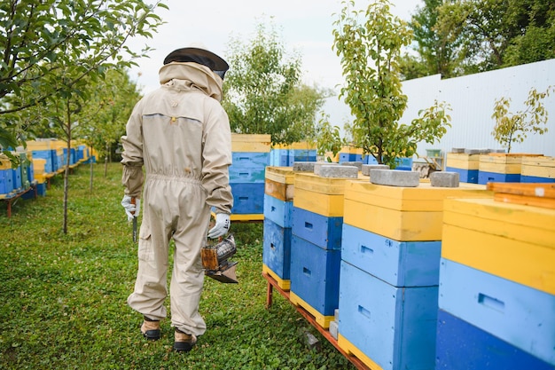 Apiculteur sur le rucher L'apiculteur travaille avec les abeilles et les ruches sur le rucher