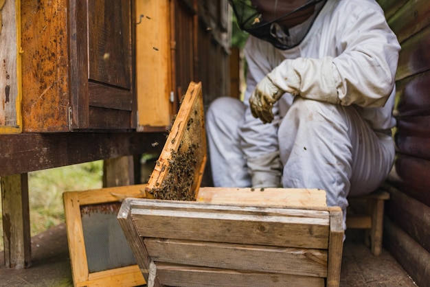 Un apiculteur sortant le cadre de miel d'une ruche en bois