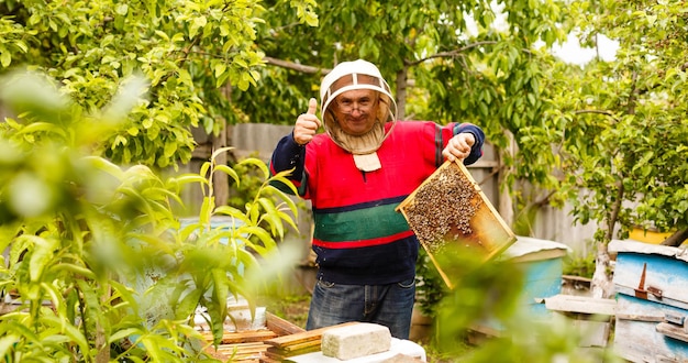 Apiculteur tenant un cadre en nid d'abeille