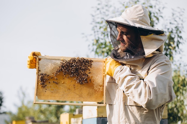 L'apiculteur tient une cellule de miel avec des abeilles dans ses mains Apiculture Rucher Abeilles de travail sur un peigne à miel Nid d'abeille avec du miel et des abeilles en gros plan