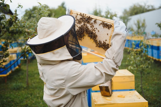 Apiculteur Travaillant à Collecter Du Miel Concept D'apiculture