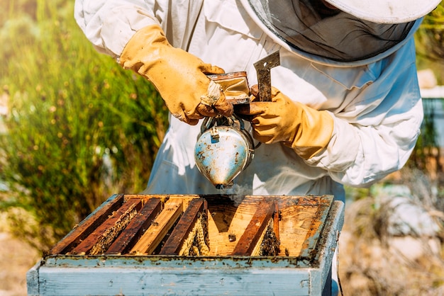 Apiculteur travaillant à récolter le miel. Concept d'apiculture.