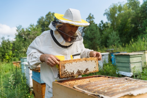 Photo l'apiculteur travaille avec des abeilles dans le rucher