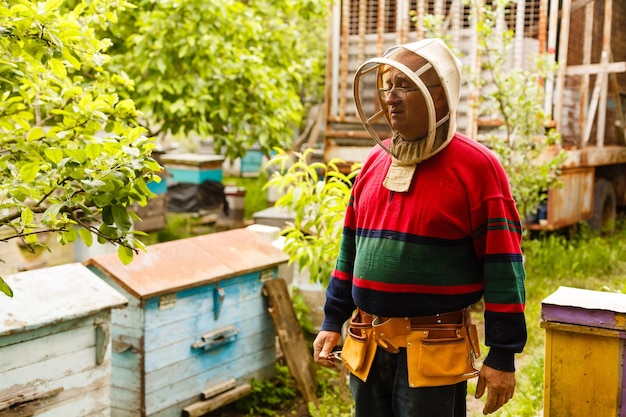 L'apiculteur travaille avec des abeilles et des ruches sur le rucher. Apiculteur sur rucher.