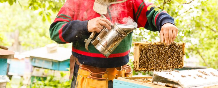 L'apiculteur travaille avec des abeilles et des ruches sur le rucher. Apiculteur sur rucher.