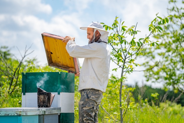 L'apiculteur travaille avec des abeilles et des ruches sur le rucher.