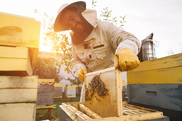 L'apiculteur travaille pour collecter le miel Concept d'apiculture