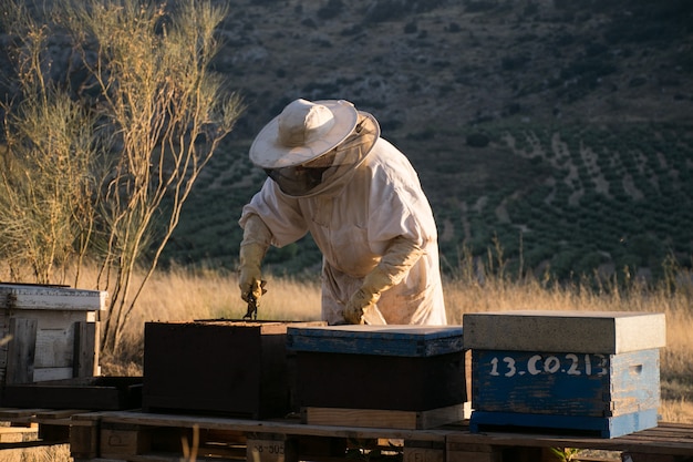 apicultor recolectando miel de panales