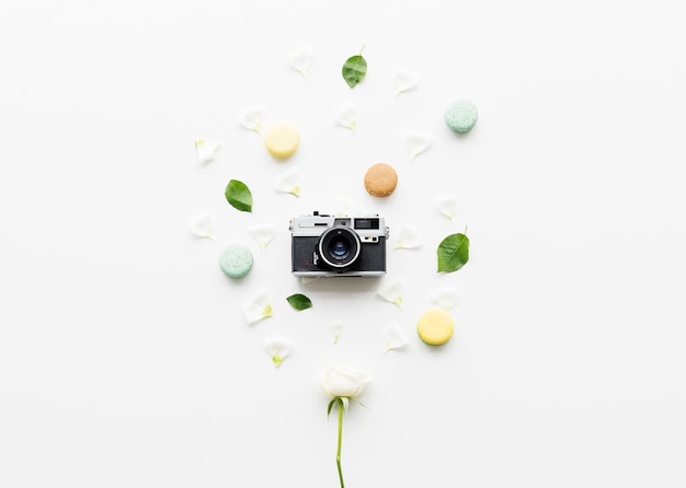 Appareil photo pétale de macaron et feuilles à plat