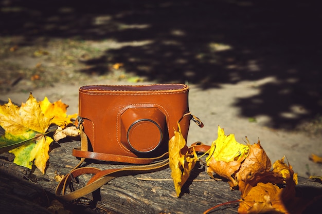 Appareil photo vintage sur un banc en bois