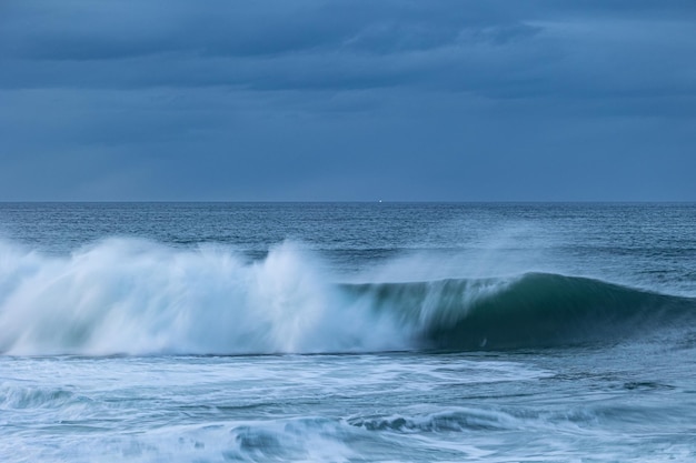 Un après-midi sur la côte cantabrique avec paysages, faune et vagues !