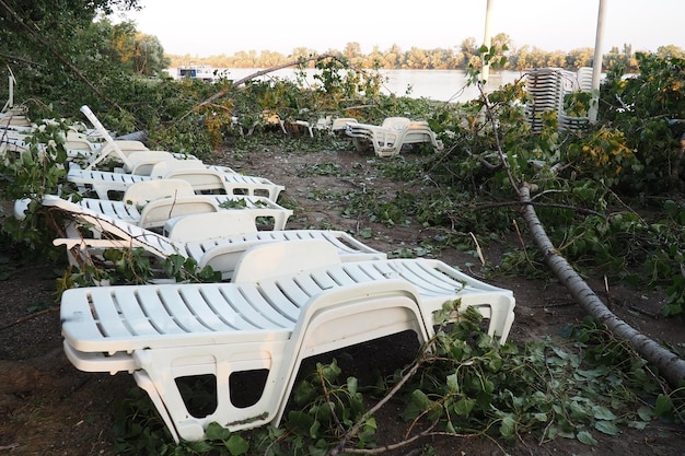 Après l'ouragan 19 juillet 2023 plage de Sremska Mitrovica Serbie Des arbres cassés en désordre dans les rues Des branches cassées courbées Tronc de puces et déchets État d'urgence après une tempête catastrophique